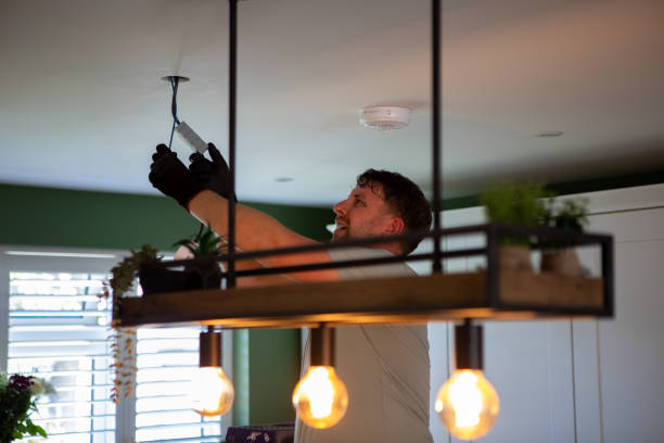 Best Electric Panel Repair  in Selinsgrove, PA